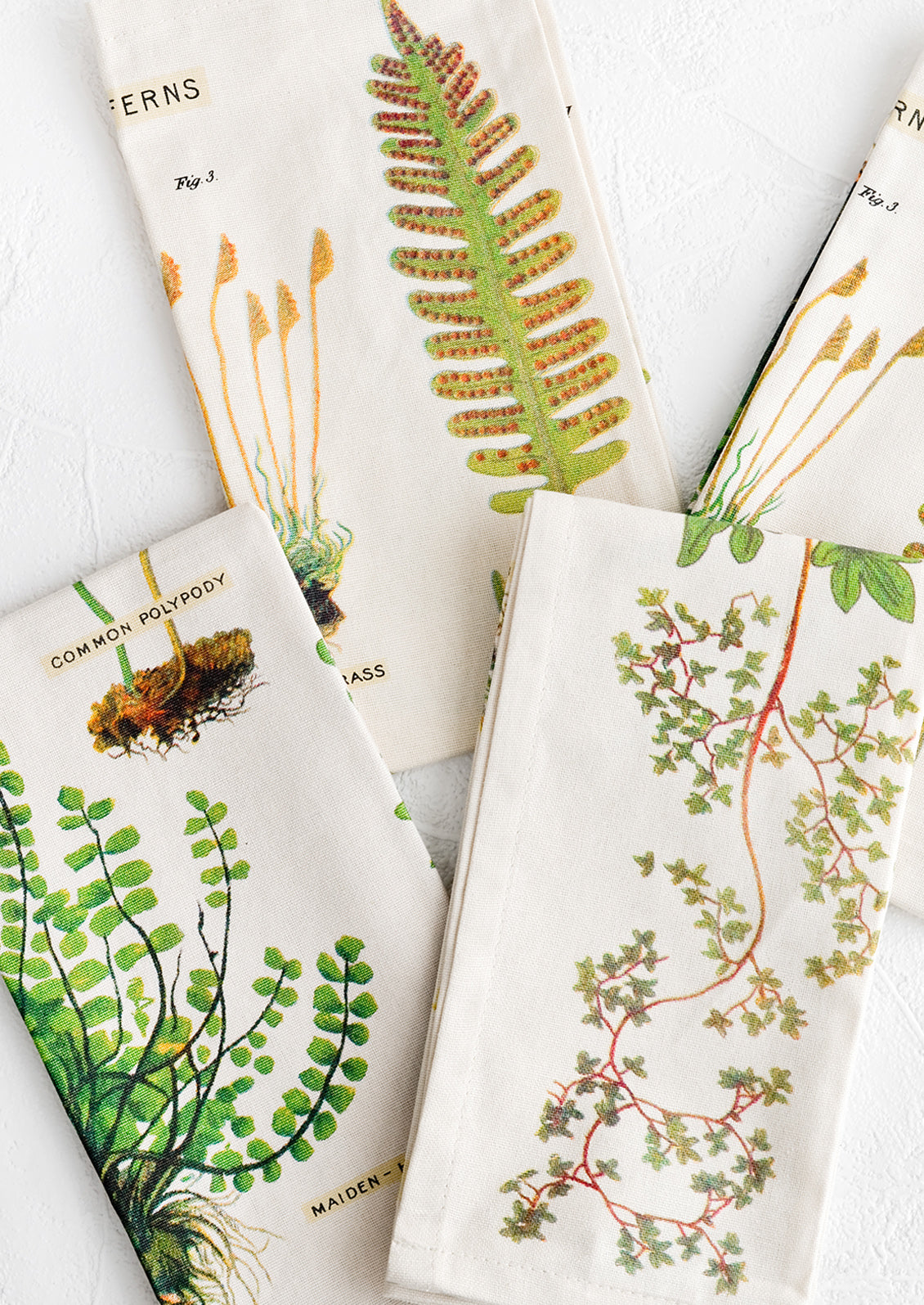 Four cotton napkins with screenprinted botanical fern print.