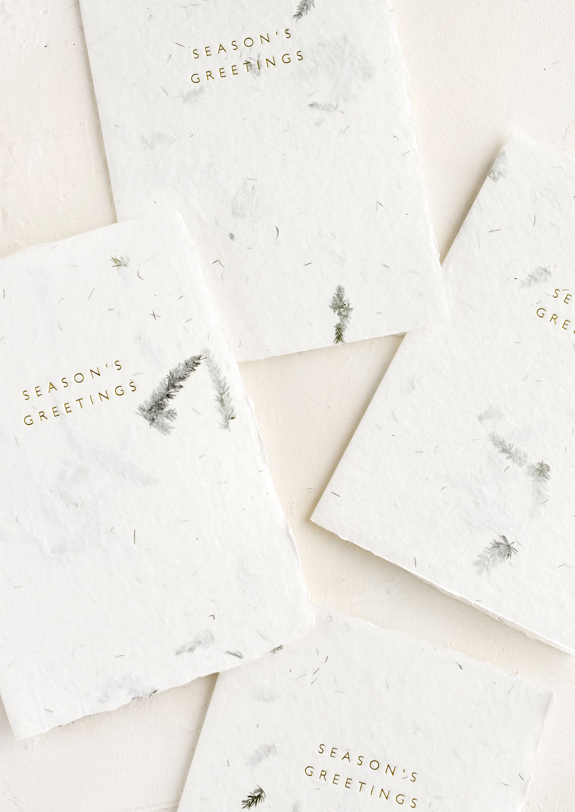 A set of botanical fern paper cards reading "Season's Greetings".