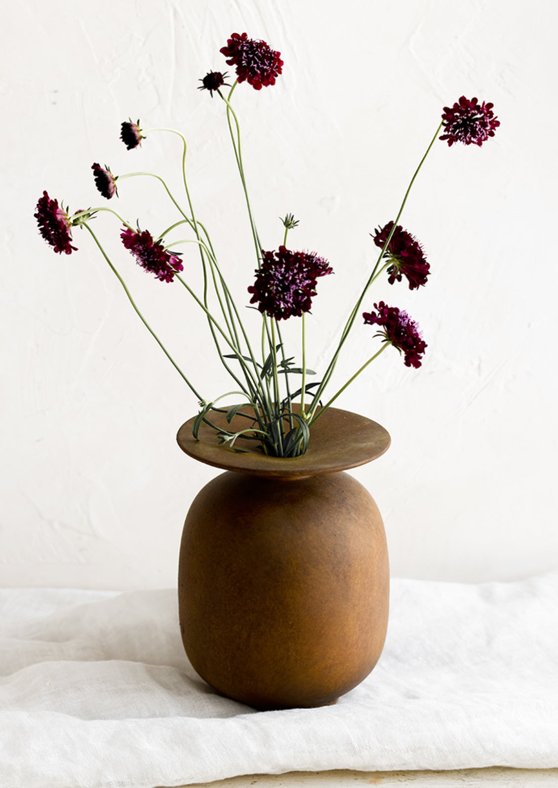 Scabious flowers in a brown vase.
