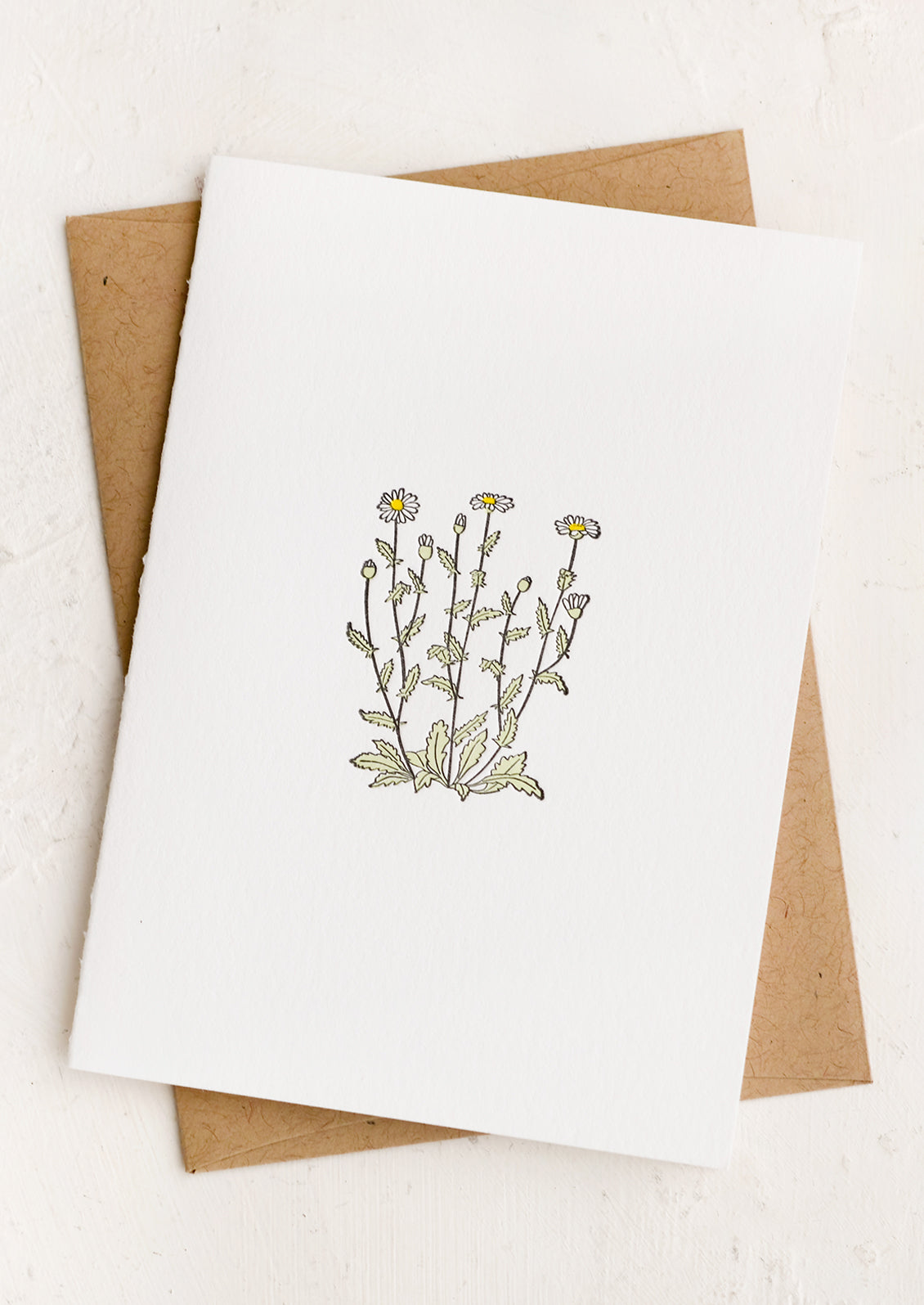 A blank white card with daisy illustration.