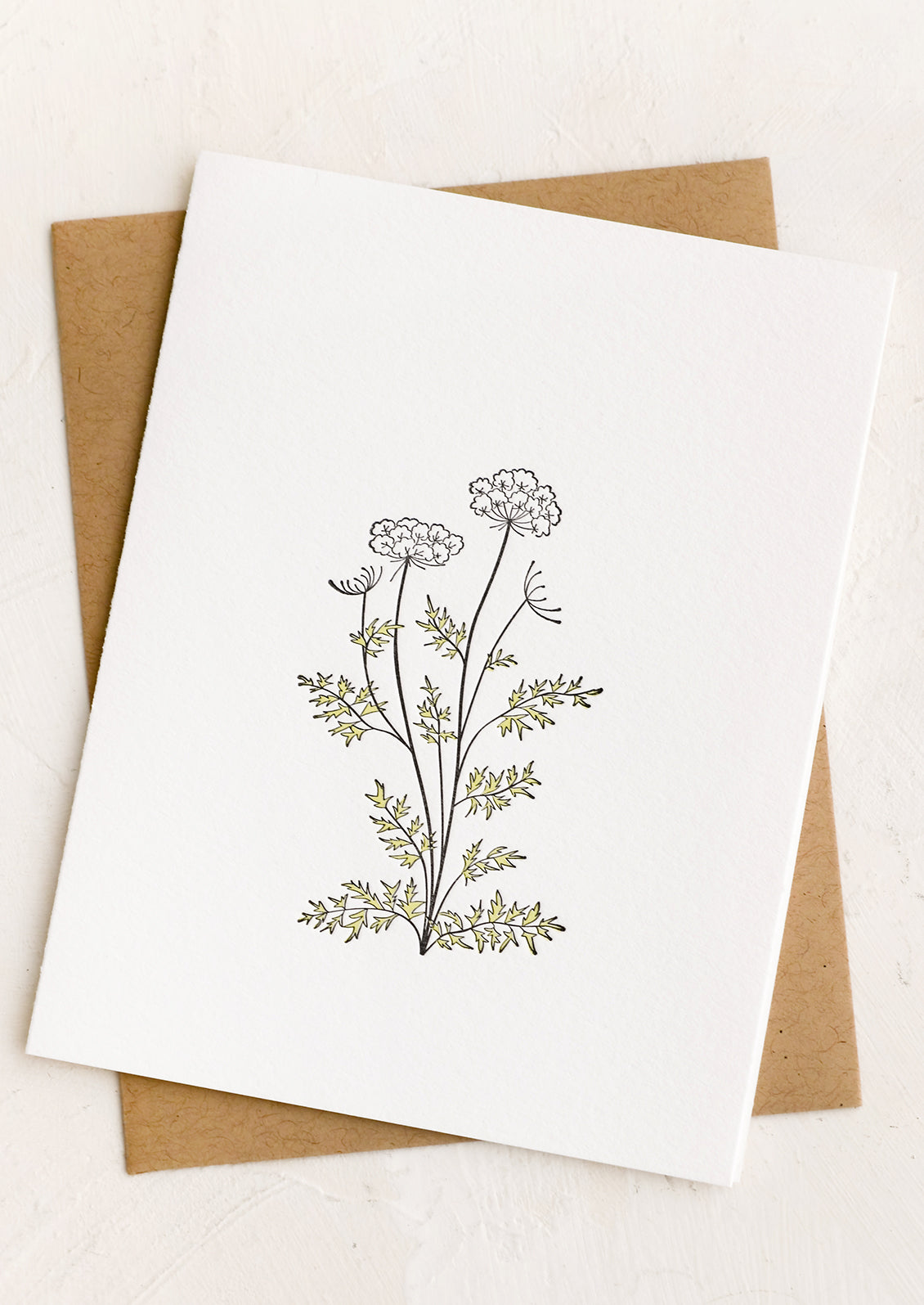 A blank white card with queen anne's lace illustration.