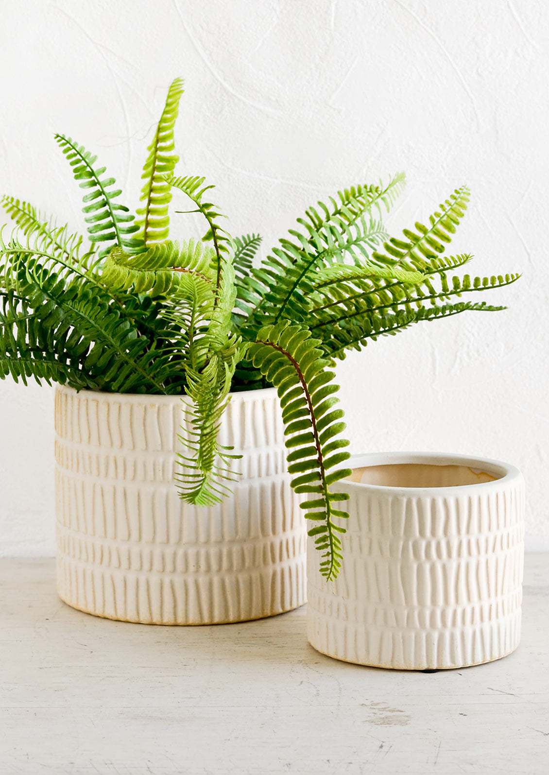 Two bisque ceramic planters in small and large sizes, large size shown with fern plant.