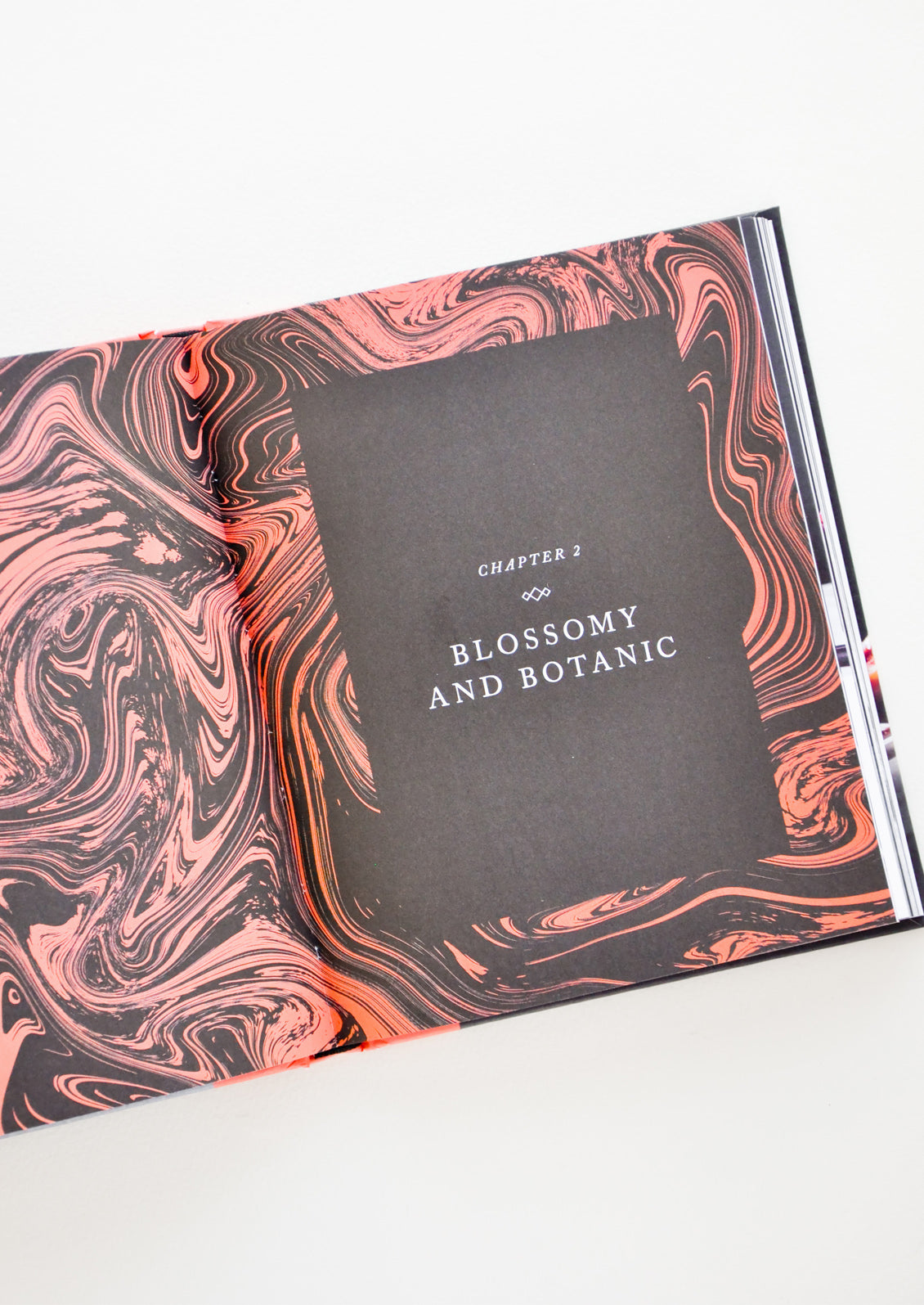 Infused Booze Recipe Book in  - LEIF