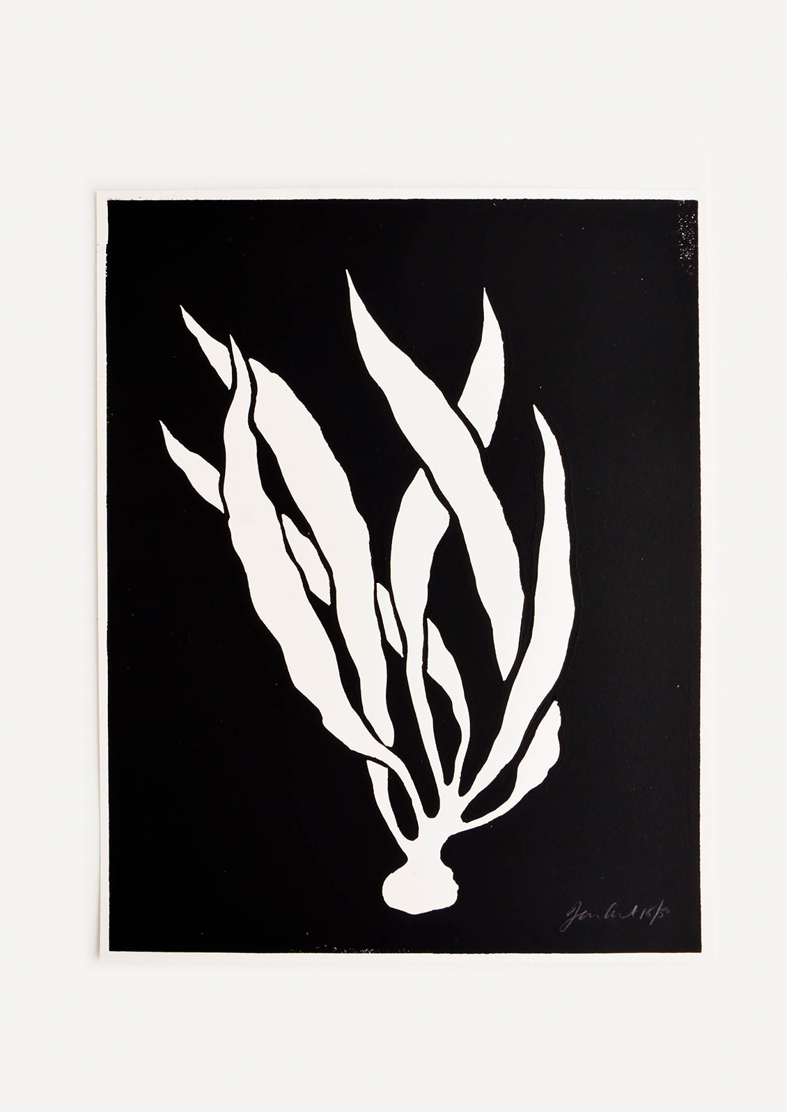 Hand printed artwork with black background and silhouetted white seaweed