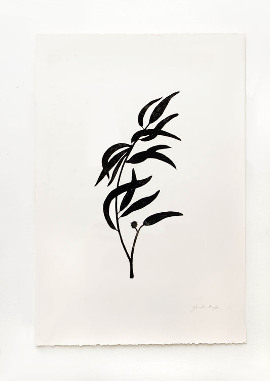 Hand printed artwork with off-white background and black silhouette of eucalyptus branch