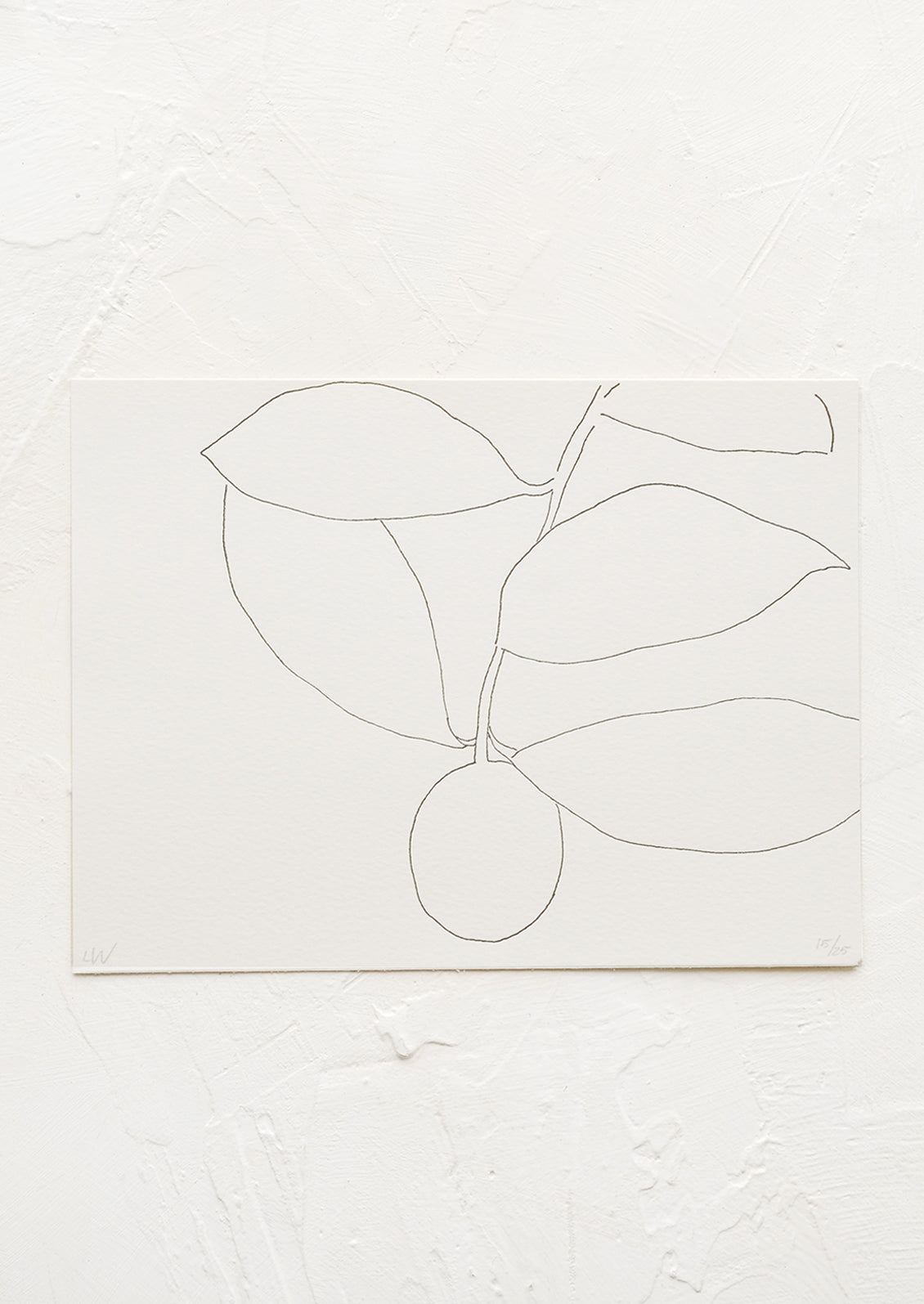 A black and white line drawing art print of a kumquat.