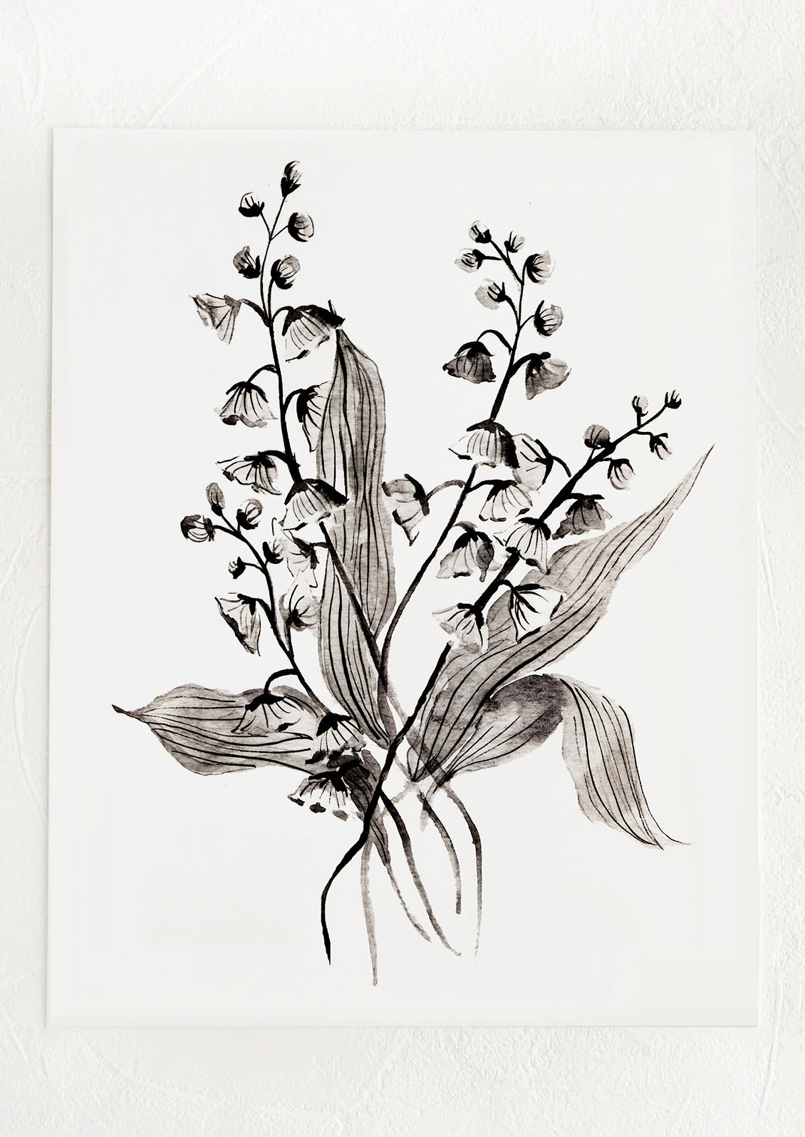 A black and white illustration of lily of the valley flower.