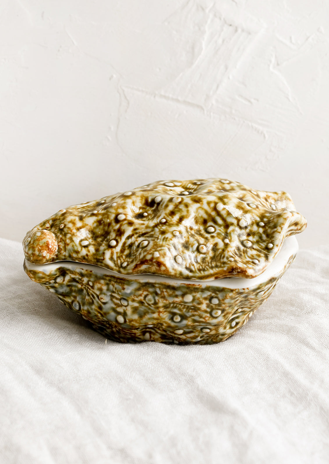 A ceramic box with lid in the shape of a mollusk shell.