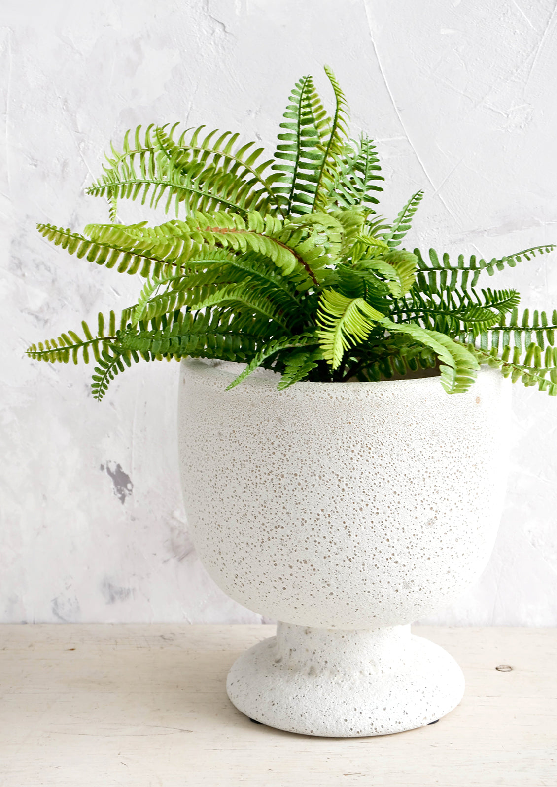 A planter in matte light grey textured glaze and footed urn shape, with fern plant.