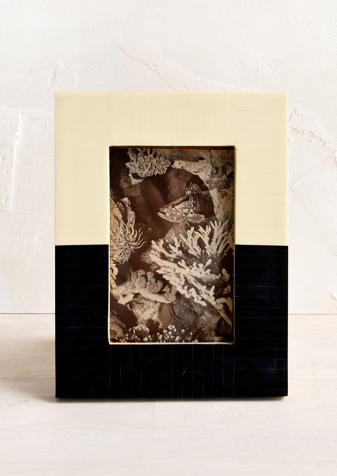 A picture frame in two tone ivory and black resin.