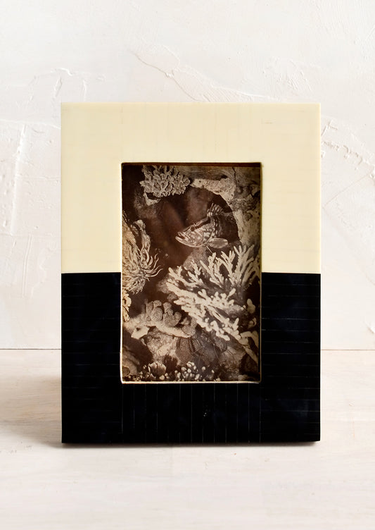 A picture frame in two tone ivory and black resin.