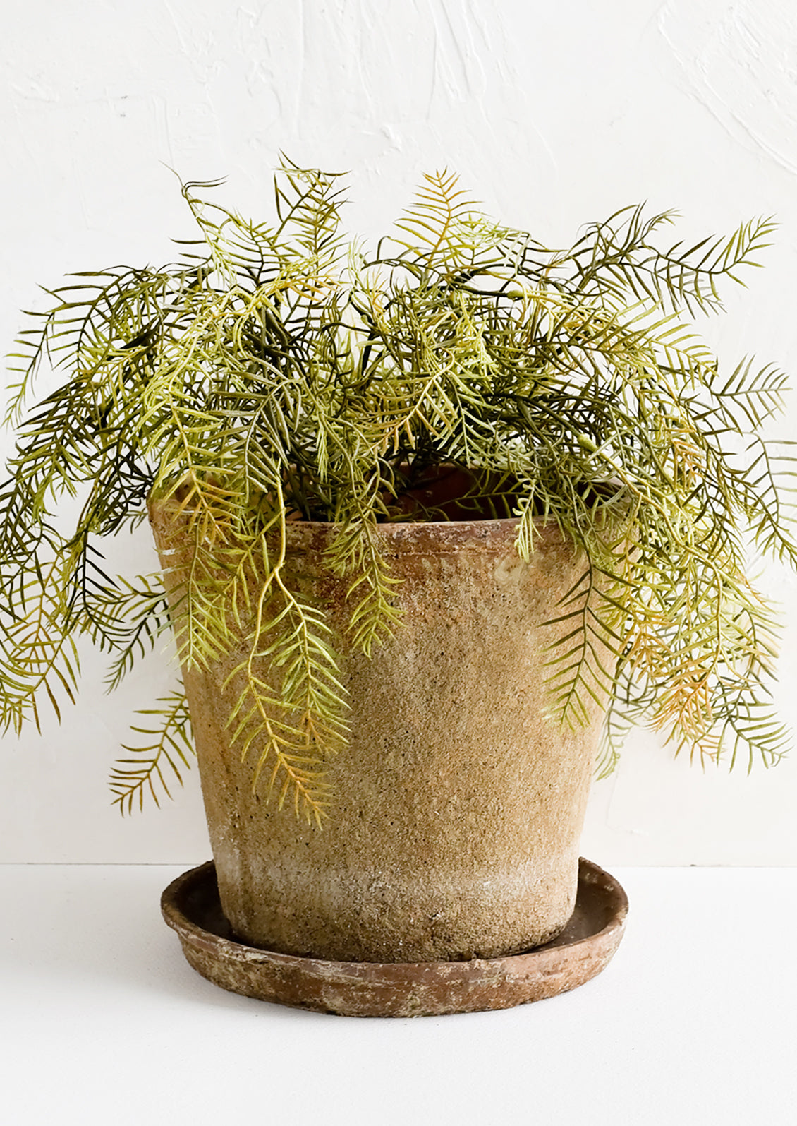 A rustic, heavily textured terracotta clay planter with saucer, displaying leafy plant.