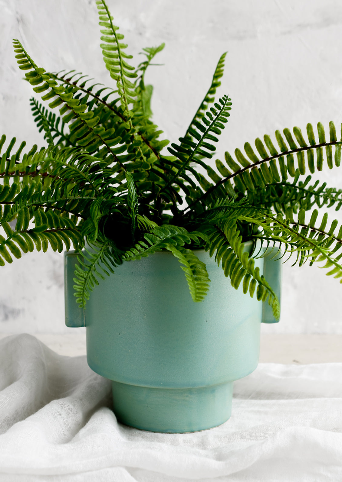 A ceramic planter in turquoise glaze with straight side tabs, with fern.