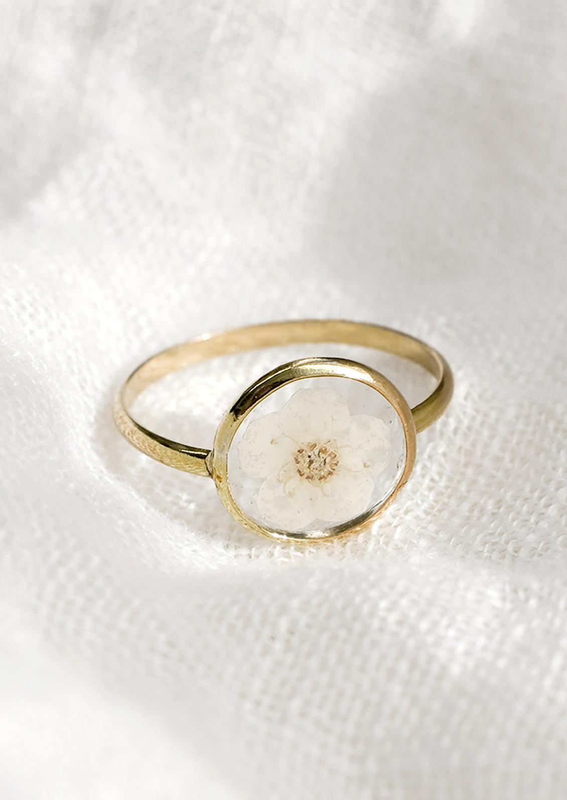 A gold round bezel ring showing white flower on clear background.