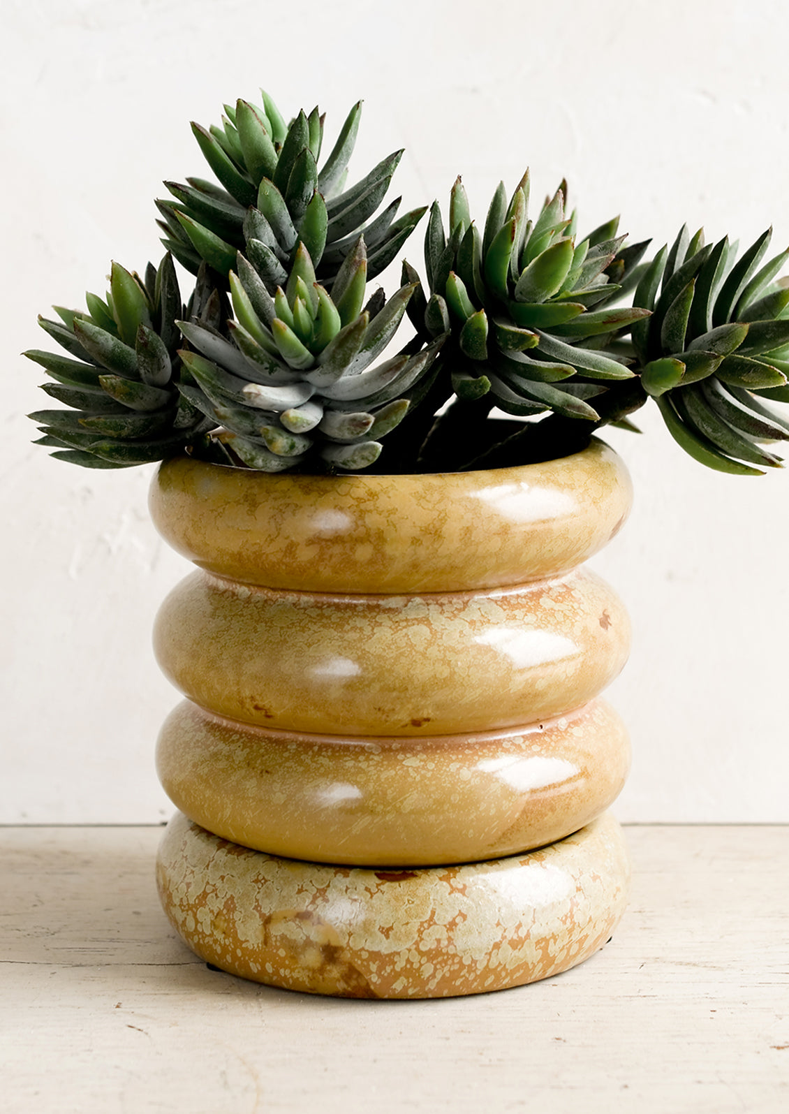 A curvy shaped planter in dappled brown glaze holding succulent plant.