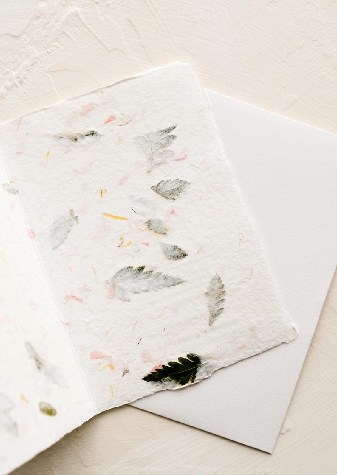 The blank inside of a greeting card made from handmade flower petal paper.