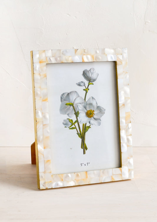 A picture frame with tiled mother of pearl border.
