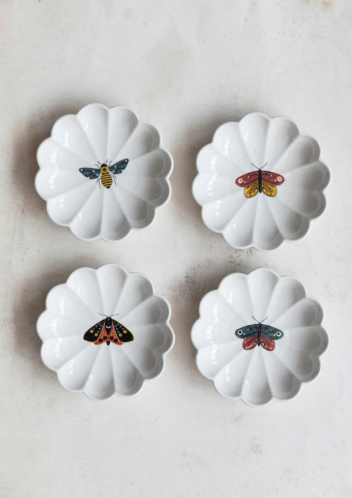 Scalloped dishes with insect illustrations.